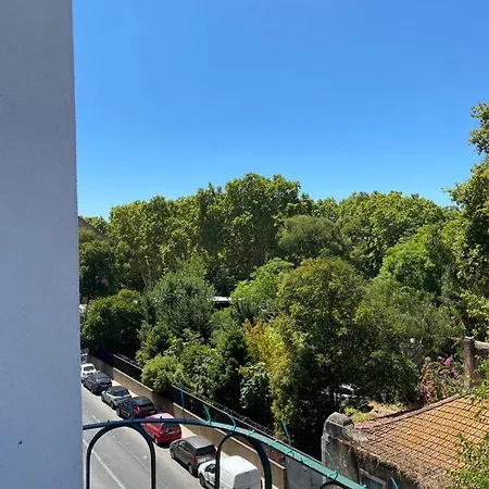 Zoo View *